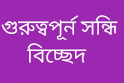 সন্ধি ও সন্ধি বিচ্ছেদ যেকোনো প্রস্তুতিমূলক পরীক্ষার জন্য বাংলা ব্যাকরণ অংশ